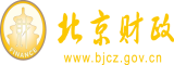 插小舞的小b北京市财政局